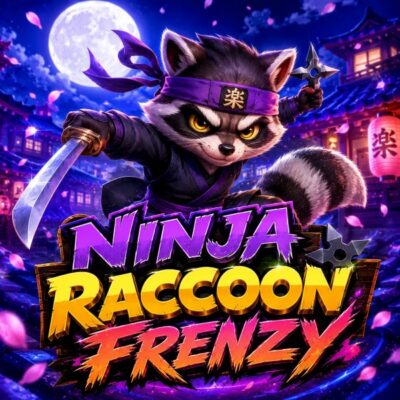 Ninja Raccoon Frenzy